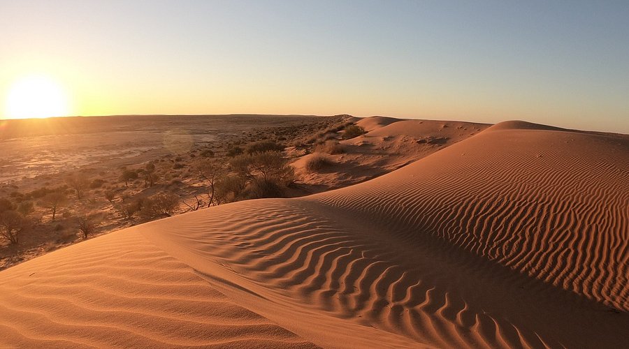sand dunes with ripples in the sand
